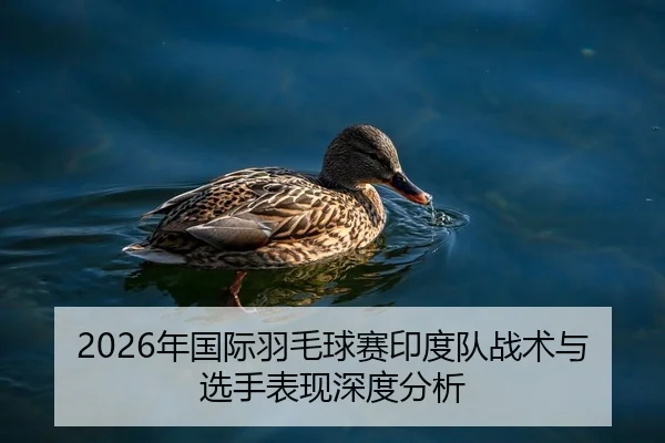 2026年国际羽毛球赛印度队战术与选手表现深度分析（BBIN）