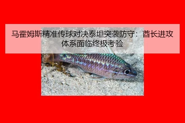 ma-huo-mu-si-jing-zhun-chuan-qiu-dui-jue-tai-tan-tu-xi-fang-shou-qiu-zhang-jin-gong-ti-xi-mian-lin-zhong-ji-kao-yan-2-593.jpg