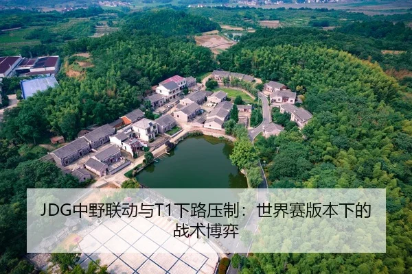 JDG中野联动与T1下路压制：世界赛版本下的战术博弈