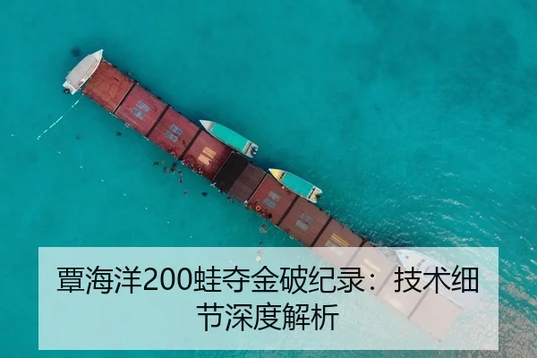 覃海洋200蛙夺金破纪录：技术细节深度解析