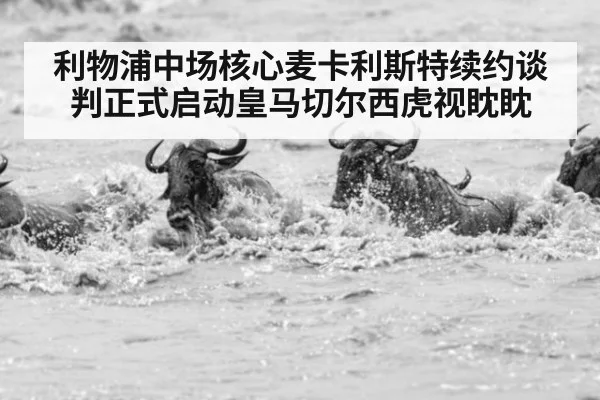 利物浦中场核心麦卡利斯特续约谈判正式启动皇马切尔西虎视眈眈