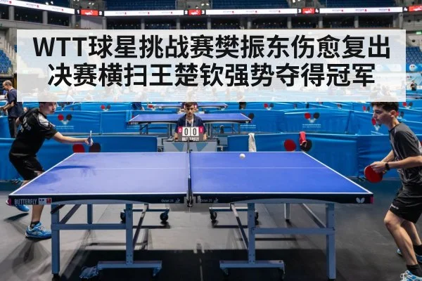 WTT球星挑战赛樊振东伤愈复出决赛横扫王楚钦强势夺得冠军