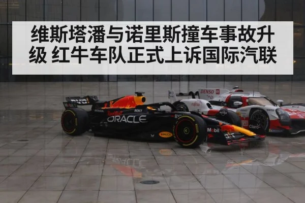 维斯塔潘与诺里斯撞车事故升级 红牛车队正式上诉国际汽联