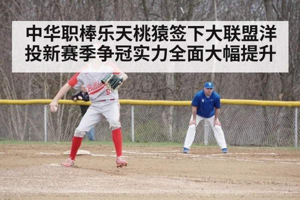 baseball game action